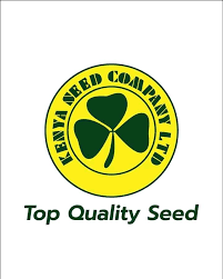 Kenya Seed : Brand Short Description Type Here.